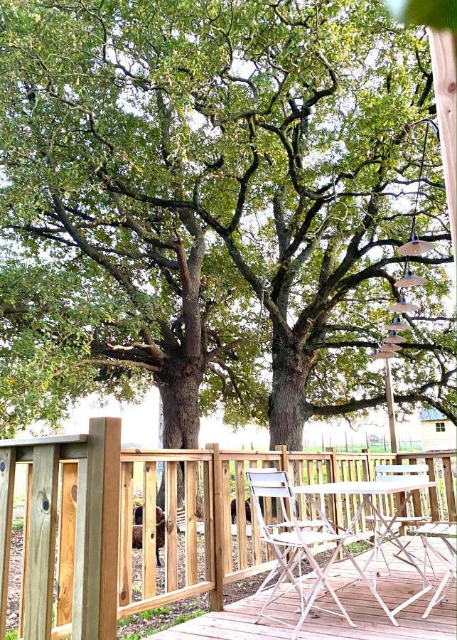 Jolie Tiny House Sous Les Grands Arbres Villa Cholet Eksteriør bilde